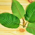 Exploring Green Kratom's Impact on Mental Health in the Healthcare Sector