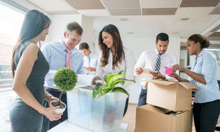 Packing service Ottawa
