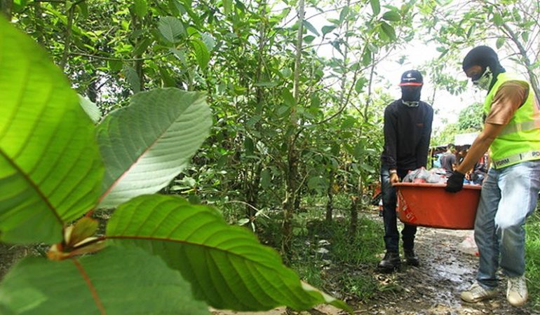 best kratom